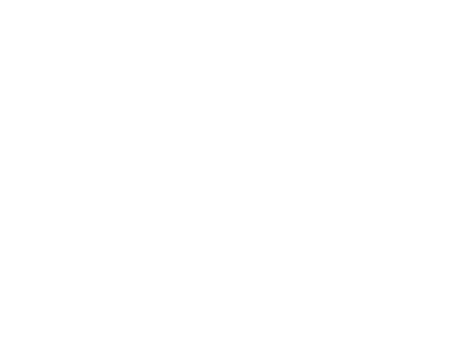 Princess on Board